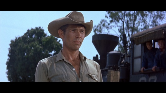 large_magnificent_seven_blu-ray2x